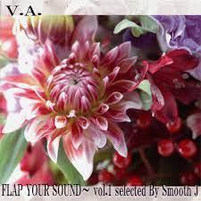 

CD VARIOUS - FLAP YOUR SOUND selected SMOOTH J V JSPC1 J&SPIRIT 2010 Japan Rap & Hip-Hop/R&B Used