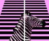 Szklana Deska Do Krojenia 2X 30X52 Zebra