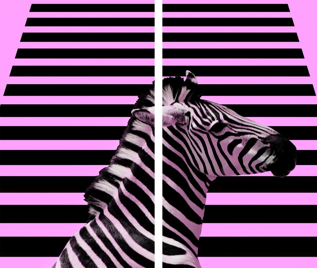 Szklana Deska Do Krojenia 2X 30X52 Zebra