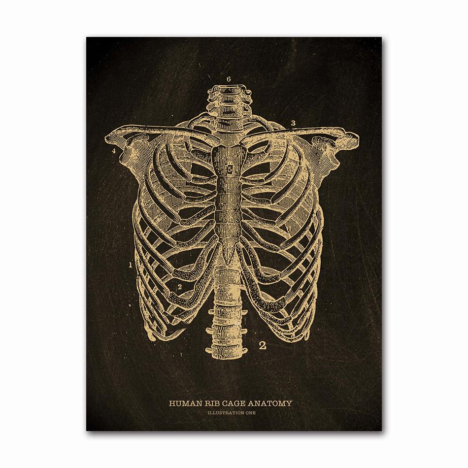 Anatomical Skeleton Chalkboard Poster Kraft Paper Posters DIY Vintage Home Room Medicine Student Decor Medical Art Wall Painting