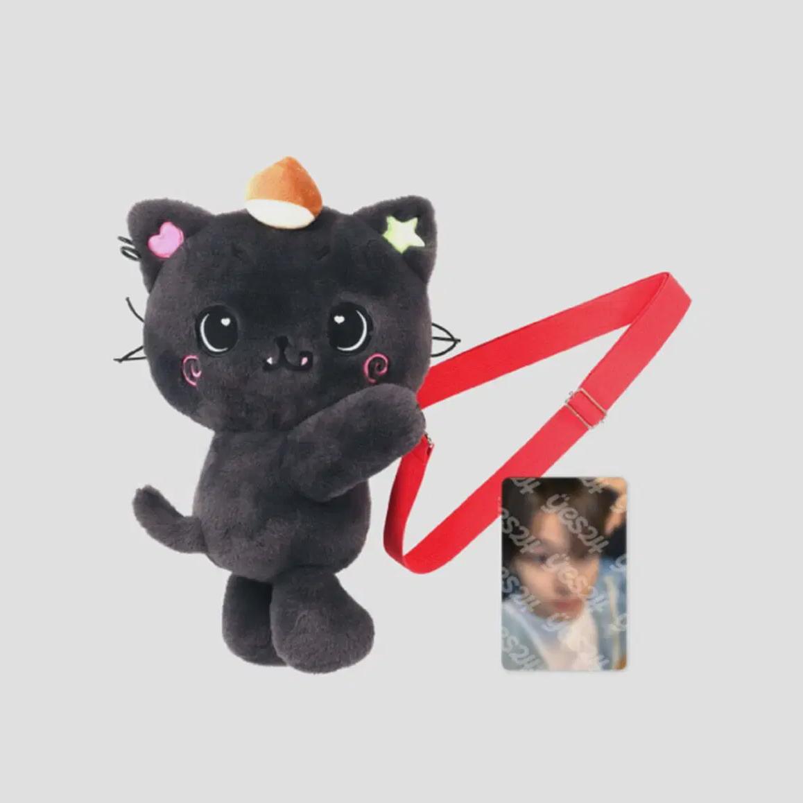 

Simple Open Rikukuri Bag With Poca Nct Wish Login