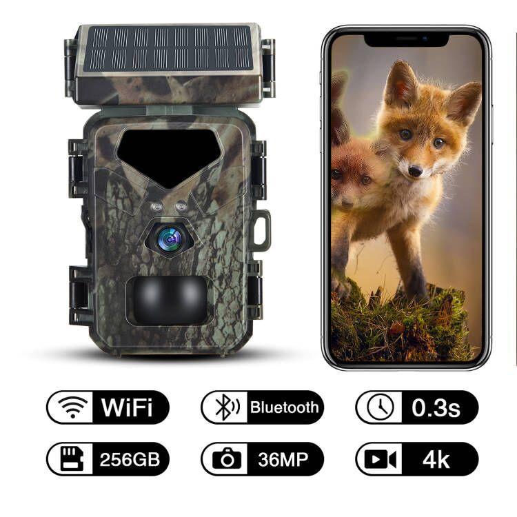 SUNTEKCAM MiNi700w WIFI Wildkamera, 36MP, 4K, IP65