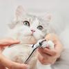 Pet Nail Clippers Stainless Steel Sharp Blade Cat Nail Scissors Rust-Resistant Pet Nail Trimmer with Ergonomic Grip for Cats And Dogs
