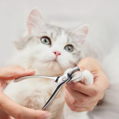 Haustier-Nagelknipser Edelstahl Scharfe Klinge Katzen-Nagelschere Rostbeständig Haustier-Nageltrimmer mit ergonomischem Griff für Katzen und Hunde