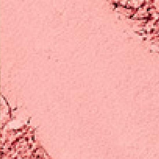 rom&nd slide in single