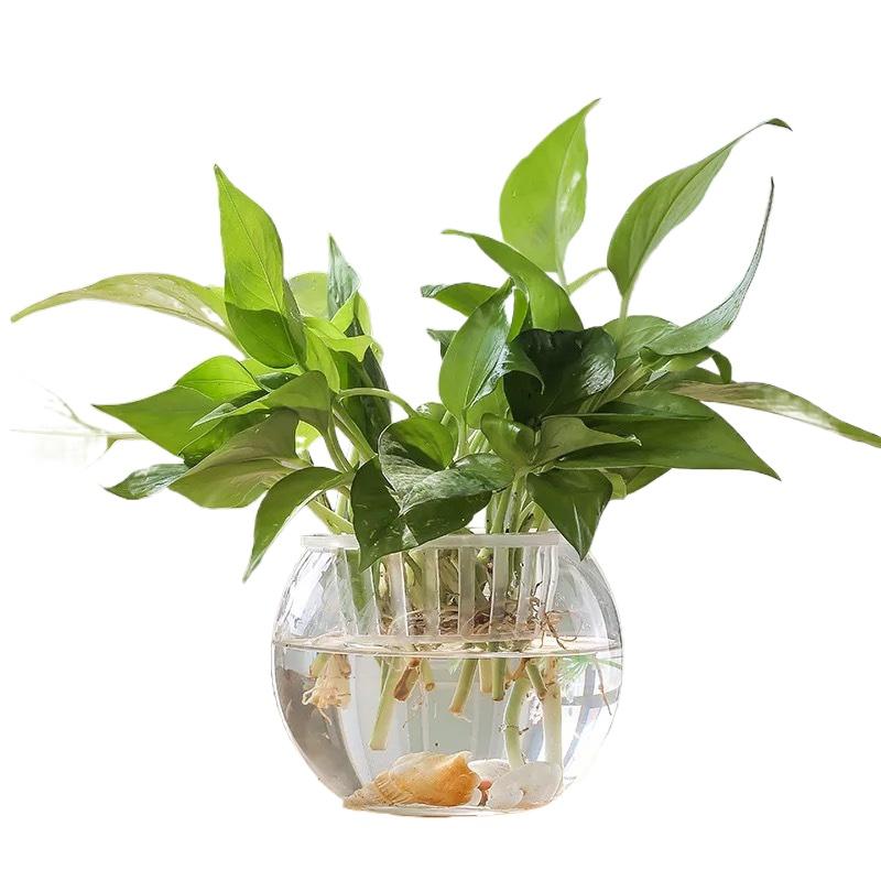 1PC Vase Home Decoration Planter Pot Fish Tank Plastic Mini Hydroponic Flower Pot Self Watering Hydroponic Vase Transparent