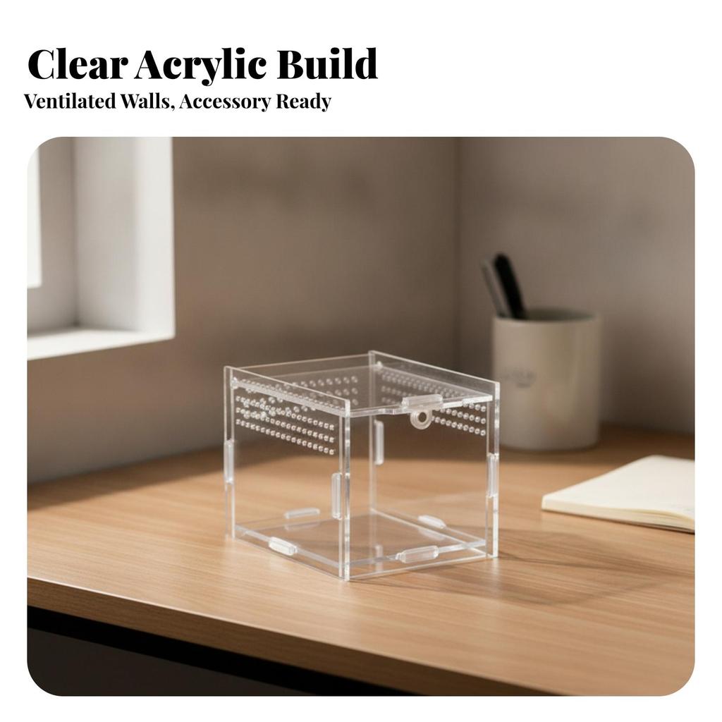 Transparent Acrylic Display Box with Assembled Panels Clear Reptile