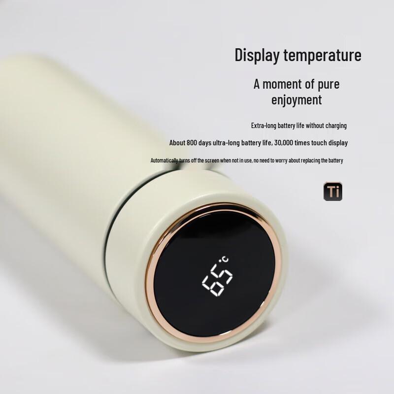 

INMINDS 500ml Titanium Insulated Mug