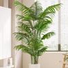 Luxury Fishtail Palm Artificial Tree for Indoor Living Room Decor - Bionic Green Plant In Pot for Floor Landscaping.