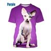 Tshirt Print Sphynx Cat | Sphynx Clothes Shirts | Sphynx Cat Printed Tees - Summer