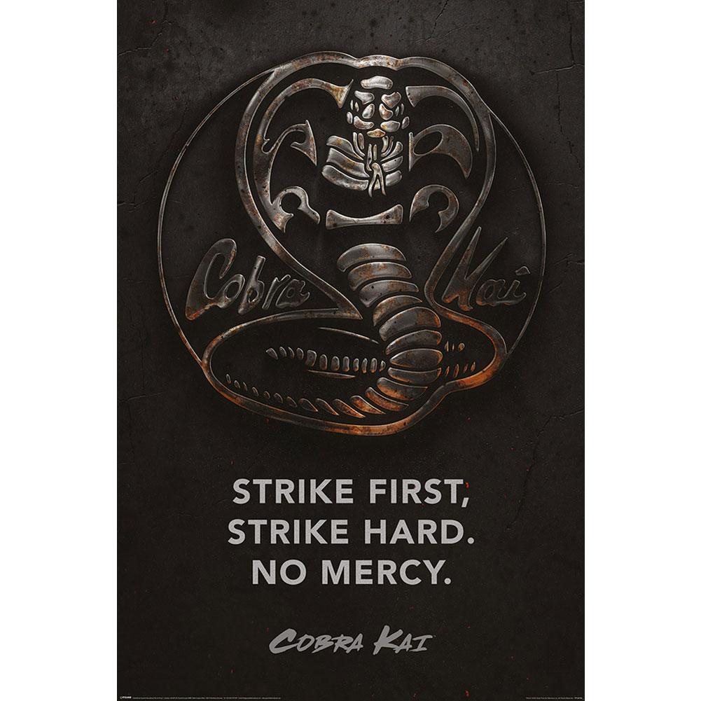 Poster in metallo Cobra Kai