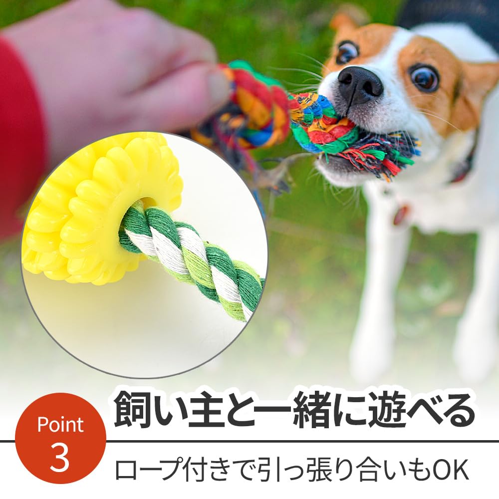 Star Trusty Dog Makes Dental Stress Lack of Exercise Relief Toy, Corn, Sound, Pulls, Chews, Chews, Care, Relief,