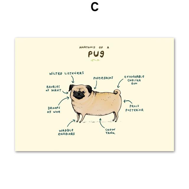 Flamingo Fox Sloth Sheep Animal Anatomy Wall Art Canvas Painting Nordic Posters And Prints Wall Pictures For Living Room Decor No Frame