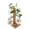 Innovative Hydroponic Vase with Wooden Stand Transparent Desktop Flower Vase for Home