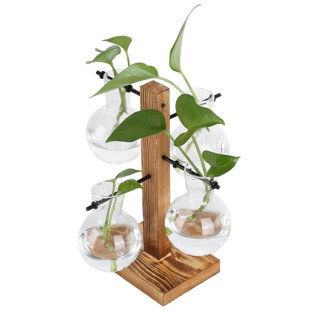 Innovative Hydroponic Vase with Wooden Stand Transparent Desktop Flower Vase for Home