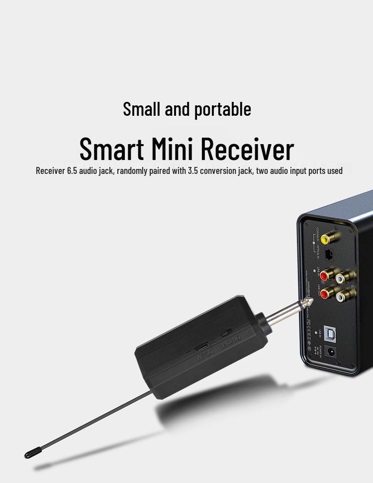 Wireless Lavalier Headset Microphone for Singing, Stage, and Outdoor Use - Anti-Howling for Live Streaming and Teaching