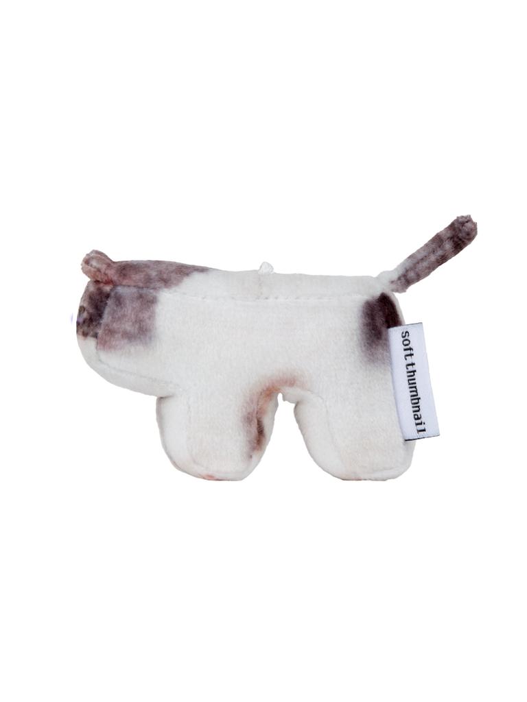 SOFTTHUMBNAIL Milk, Domestic Shorthair