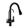 Brass Filter Kitchen Faucet Brushed Nickel