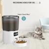 4L Automatic Cat Feeder WIFI Pet Smart Cat Food Kibble Dispenser Timer Stainless Steel Bowl Auto Feeder For Cats Dog Accessories