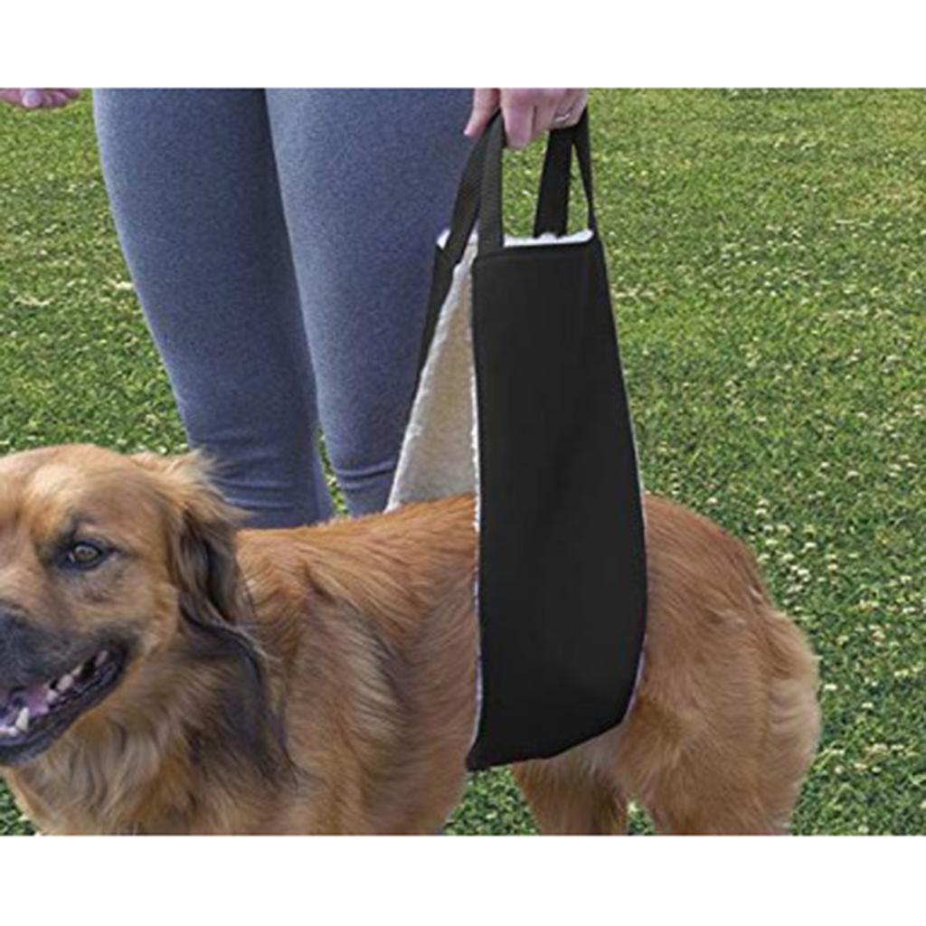 dog hip sling