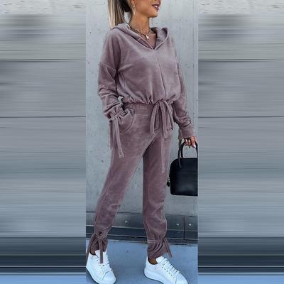 FD719 Spot New 1116 Solid Color Fashion Half Open Neck Hooded Sweater Casual Loose Harlan Pants Suit Women