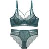 Lace Bra Set Women Sexy Hollow Out See Through Lingerie Brief Set Elegant Ladies Underwear Daily Bra and Panty Set