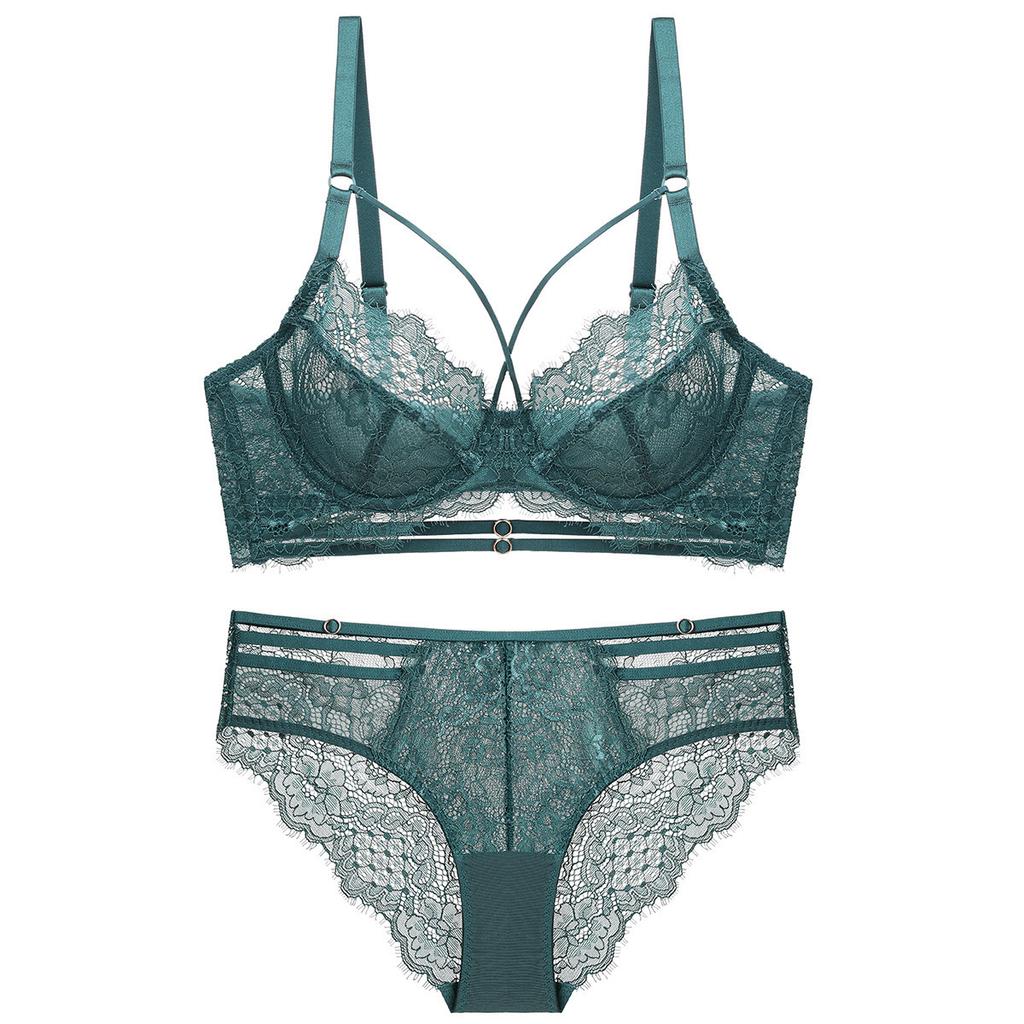 Lace Bra Set Women Sexy Hollow Out See Through Lingerie Brief Set Elegant Ladies Underwear Daily Bra and Panty Set