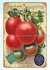 Livingstonaposs Buckeye State Tomato Seeds Metal Tin Sign Dorm Roomed Retro