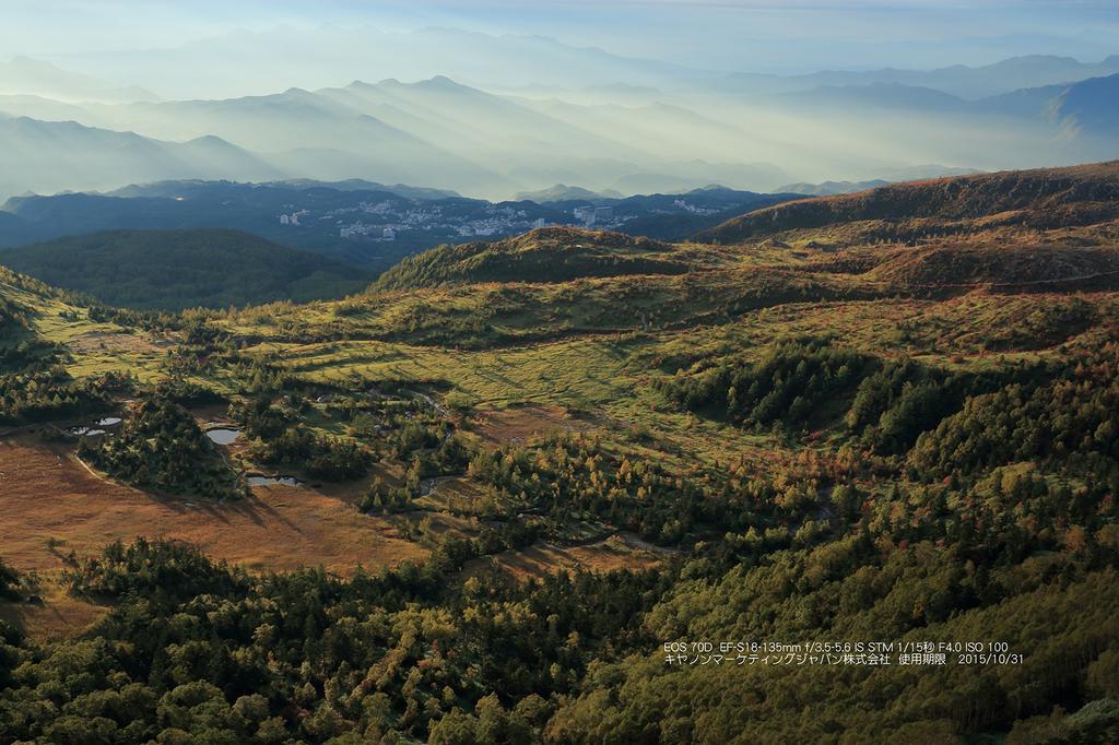 Canon EOS Kiss X7i Digital SLR Camera with IS STM Lens Kit EF-S 18-135mm f/3.5-5.6 (KISSX7I-18135ISSTMLK)