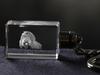 Barbet, French Water Dog - Crystal Key Ring with Dog Photo, Illuminated Key Ring, Unique Gift by Art-Dog Brand