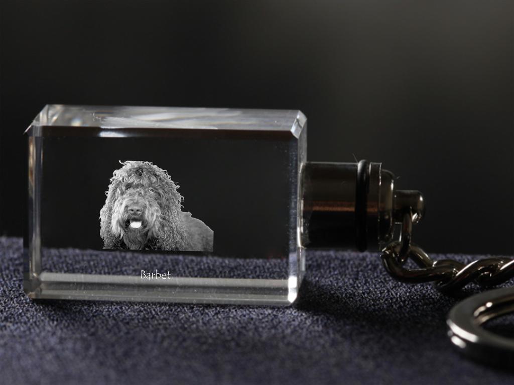Barbet, French Water Dog - Crystal Key Ring with Dog Photo, Illuminated Key Ring, Unique Gift by Art-Dog Brand