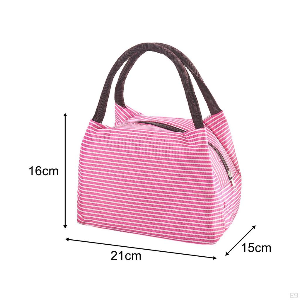 Lunch Totes Pouch with Zipper Picnic Tote Food Box Bags for