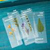 Dried Flower Bookmark Semi-Transparent Natural Plant Bookmark Pet Bookmark Natural For Books Office Study