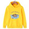 Cute Capybara Cartoon Print Design Kawaii Children's Clothes for Autumn and Winter Warm Pullovers for Girls Boys
