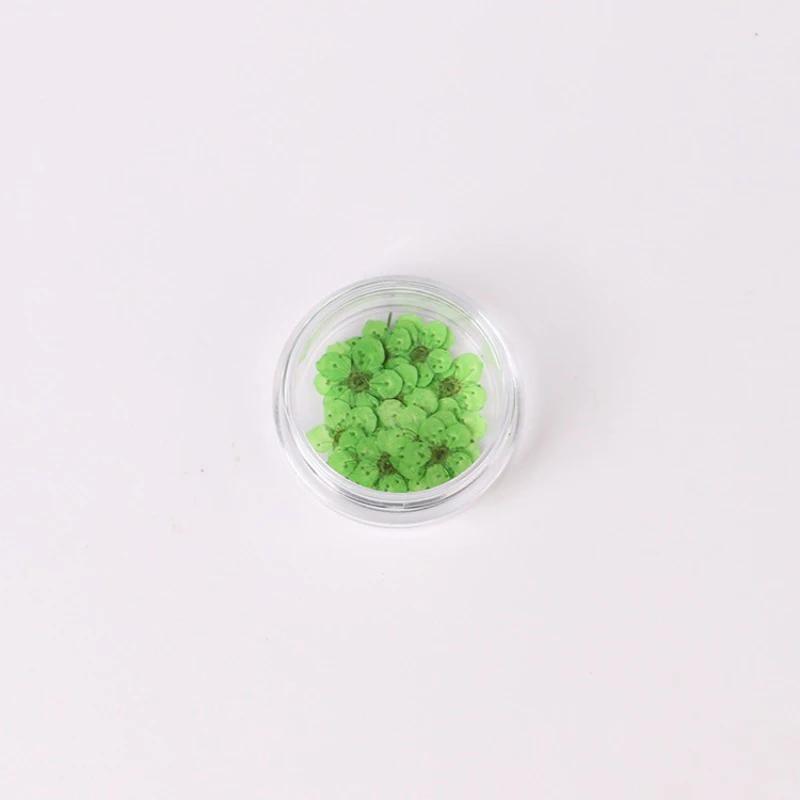 20pcs/Box Nail Art Dried Flowers Spirea Small Plum Narcissus Nail Art Color Mixed Flower Dried Flower Patch DIY Nail Decoration