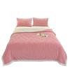 LISM Thickened Lamb Velvet Reversible Blanket