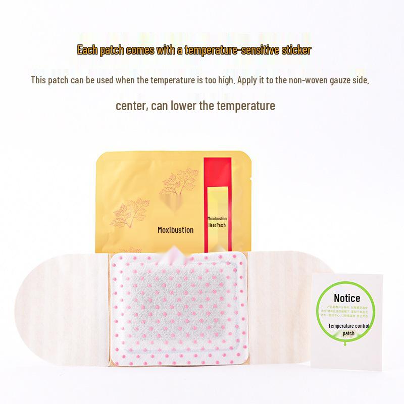 Mugwort Self-Heating Moxibustion Patch for Cervical Spine, Lumbar, and Knee Joints