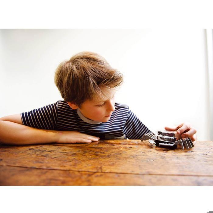 Robot crabe - 4M - 4m - Robot de Table - Intérieur - Mixte - Gris et Noir