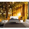 Sunny Path Forest Landscape Room Decoration Painting 3d Wall Murals Wallpaper