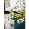 Artificial Corn Poppy Flower Bouquet with Realistic Touch and Flocking Long Stem, Which Is Made of Plastic.For Weddings, Proposals, Spring, Birthdays