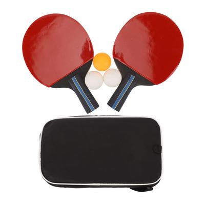 Masa Tenisi Kürek Seti Taşınabilir Profesyonel Masa Tenisi Raketleri 3 Toplu Saklama Çantası İç Mekan İçin