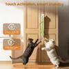 Flying Rope Cat Toy Interactive Cat Toy Rechargeable Automatic Moving Enrichment Cat Toy for Cat Kitten Pet Supplies