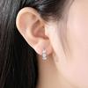 Top Silver Color Needle Earrings for Women's Wedding Fashion High Quality Jewelry Crystal Zirconia Flower Cute Stud