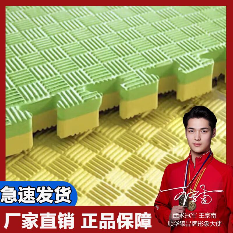 Shunhualang Interlocking Taekwondo & Training Mat