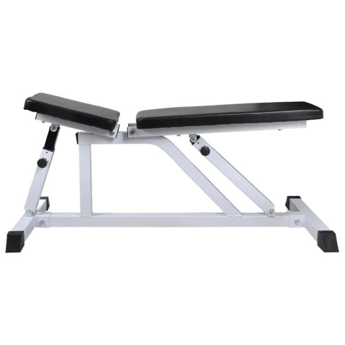 VidaXL Training Bench with Dumbbell Set 60.5 Kg Weight Bench 275346