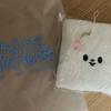 STRAY KIDS Fan Meeting Admission Gift: Ribbit Towel