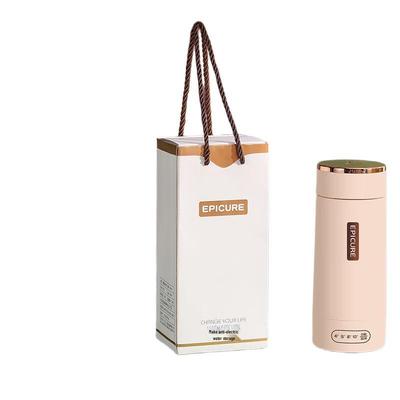 Portable Mini Electric Travel Kettle & Cooking Cup