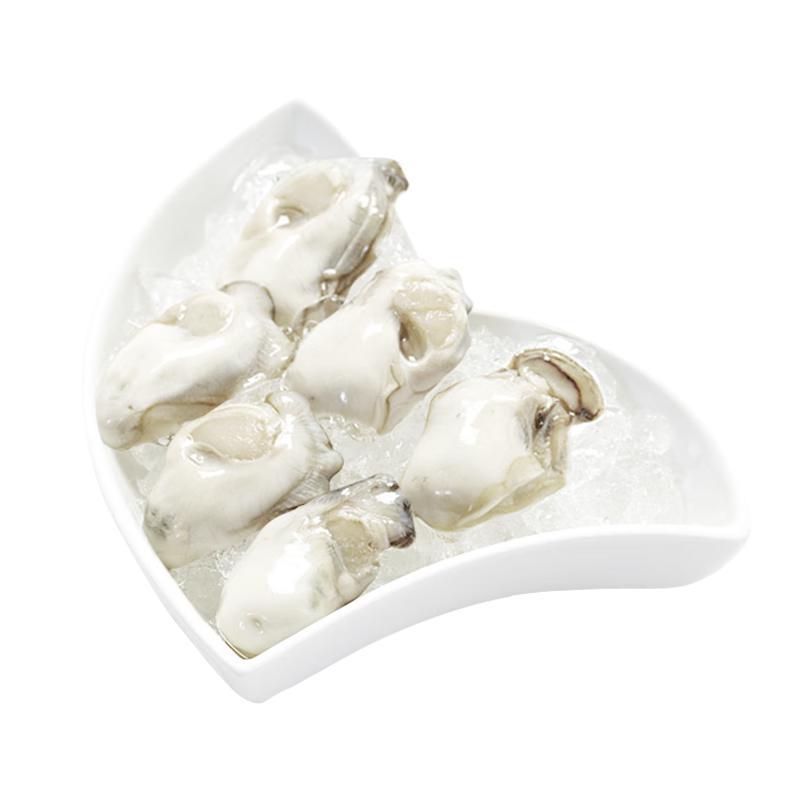 Frozen Oyster Meat