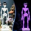 Underwater Dancing Skull Decor Skeleton Aquarium Bubbler with Adjustable Air Flow, 3D Printed Creative Fish Tank Ornaments Powered Moving Oxygenating