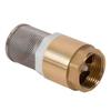 Filter Valve Brass Check Valve 16 Bar Bottom Valve Irrigation Systems Strainers Watering Equipment High Quality